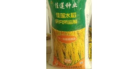廠家批發水稻種子 水稻種子 農作物高產抗病強種子