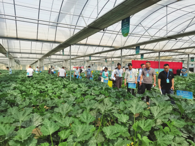 種業攻關 促進發展