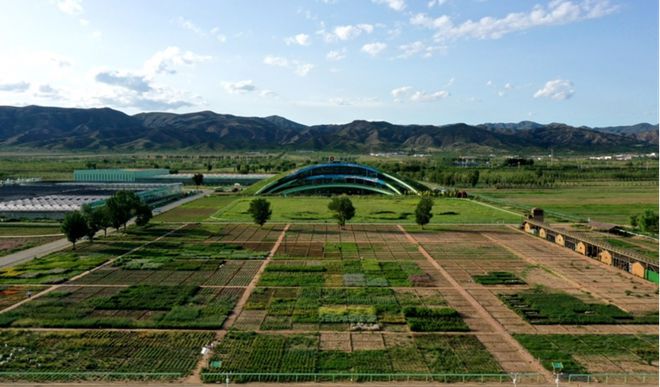 蒙草生態(tài)上市十周年:種業(yè)為本、科研當(dāng)先