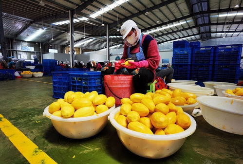 全球連線 碩果累累 中國 東盟合作有點(diǎn) 芒