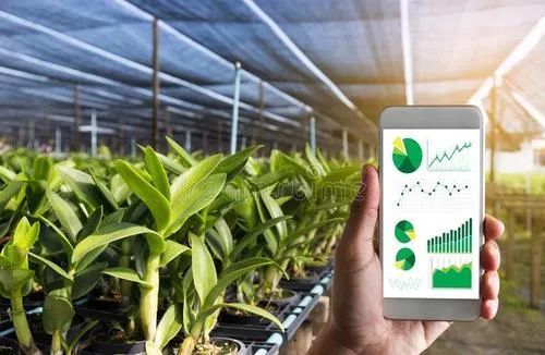 數字化種業 中國農業發展的核心變量