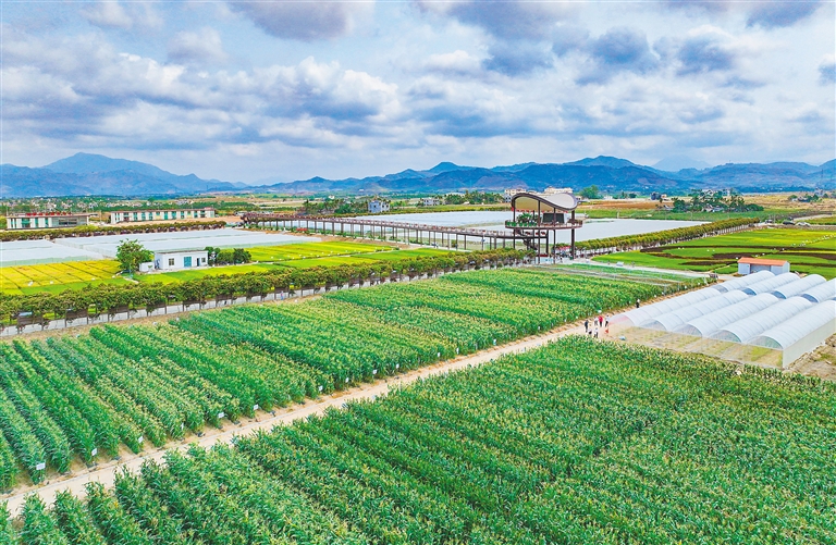 海墾集團(tuán)堅(jiān)持“項(xiàng)目為王”，多舉措推進(jìn)產(chǎn)業(yè)升級(jí)與墾地融合