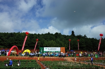 2019云南蔬菜種業(yè)博覽會(huì)開(kāi)幕，推動(dòng)種業(yè)創(chuàng)新與蔬菜產(chǎn)業(yè)升級(jí)